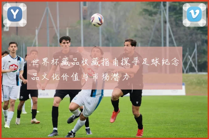 世界杯藏品收藏指南探寻足球纪念品文化价值与市场潜力